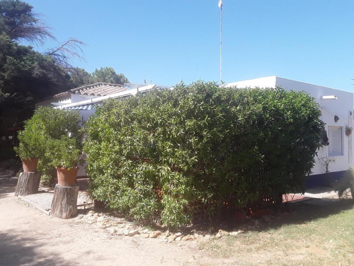 Finca Las Dunas Con Dos Chalets Con Jacuzzis En Primera Linea De Playa Uno De 4 Dormitorios Y Otro De 2 Dormitorios 로타 외부 사진