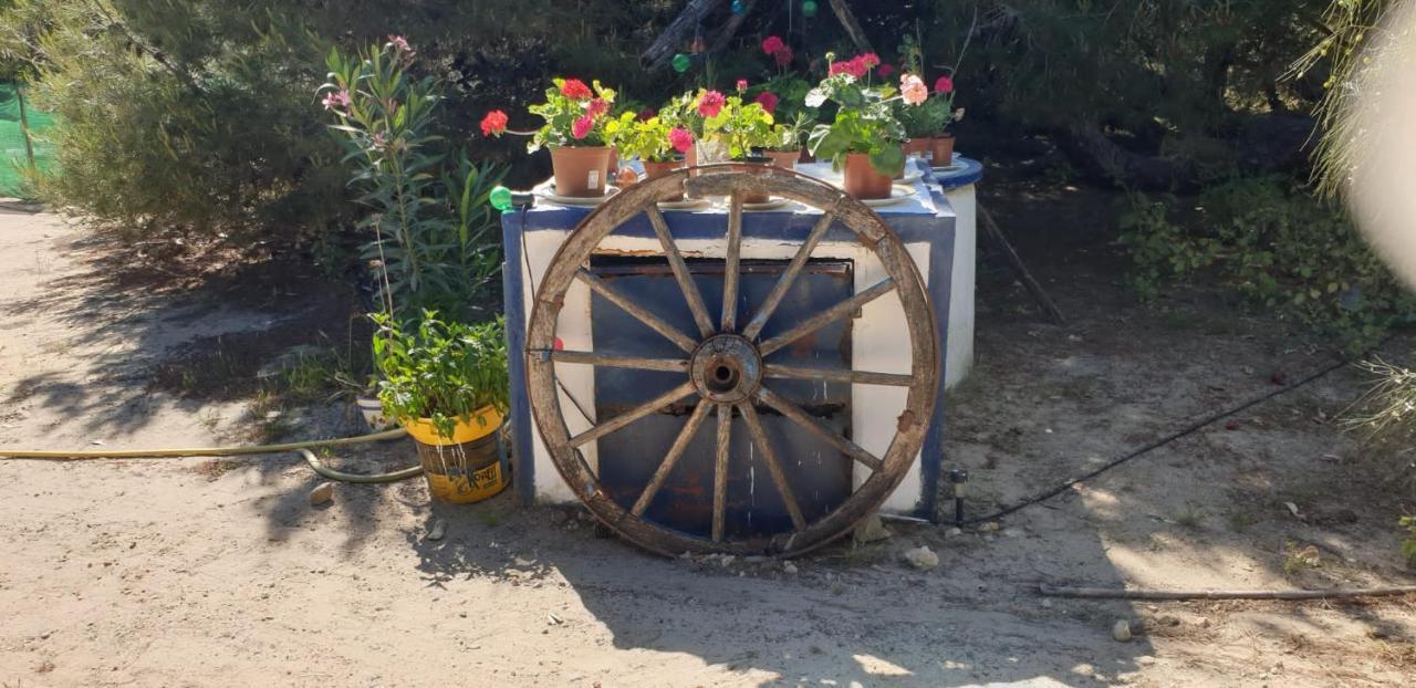 En Finca Las Dunas Dos Chalets Con Jacuzzis En Primera Linea De Playa , Uno De 4 Dormitorios Y Otro De 2 Dormitorios, Llama Al Seiscientos Veintisiete Cuatrocientos Diecisiete Trescientos Noventa Y Ocho 로타 외부 사진