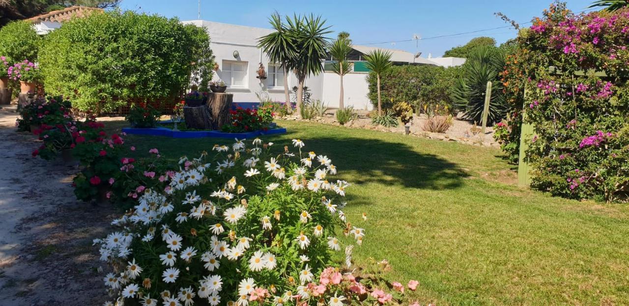 En Finca Las Dunas Dos Chalets Con Jacuzzis En Primera Linea De Playa , Uno De 4 Dormitorios Y Otro De 2 Dormitorios, Llama Al Seiscientos Veintisiete Cuatrocientos Diecisiete Trescientos Noventa Y Ocho 로타 외부 사진