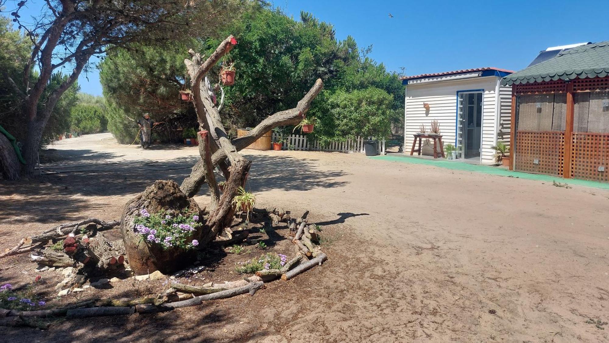 En Finca Las Dunas Dos Chalets Con Jacuzzis En Primera Linea De Playa , Uno De 4 Dormitorios Y Otro De 2 Dormitorios, Llama Al Seiscientos Veintisiete Cuatrocientos Diecisiete Trescientos Noventa Y Ocho 로타 외부 사진