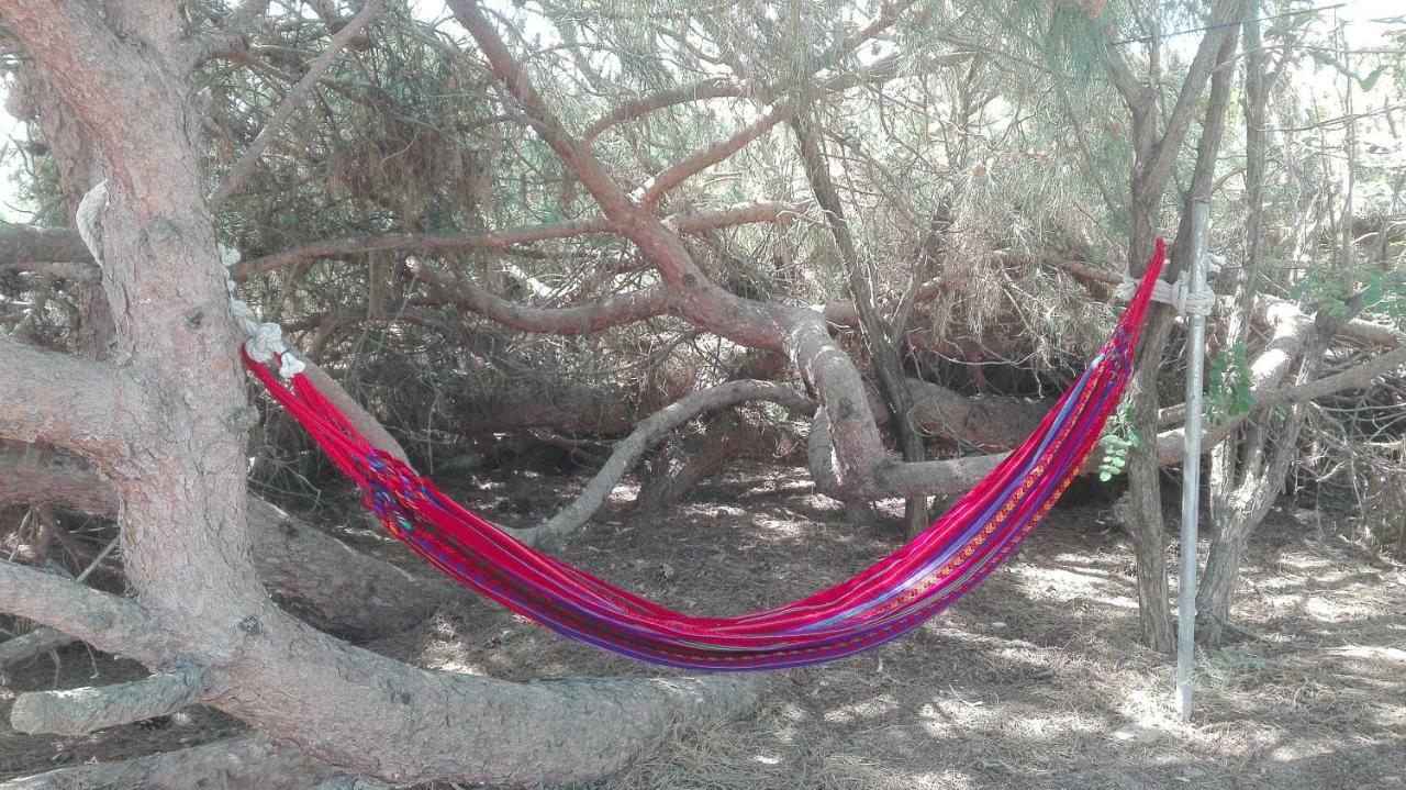 En Finca Las Dunas Dos Chalets Con Jacuzzis En Primera Linea De Playa , Uno De 4 Dormitorios Y Otro De 2 Dormitorios, Llama Al Seiscientos Veintisiete Cuatrocientos Diecisiete Trescientos Noventa Y Ocho 로타 외부 사진