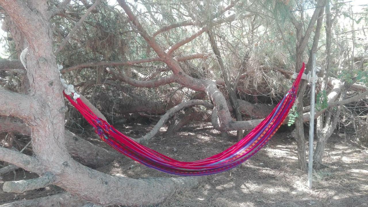 Finca Las Dunas Con Dos Chalets Con Jacuzzis En Primera Linea De Playa Uno De 4 Dormitorios Y Otro De 2 Dormitorios 로타 외부 사진