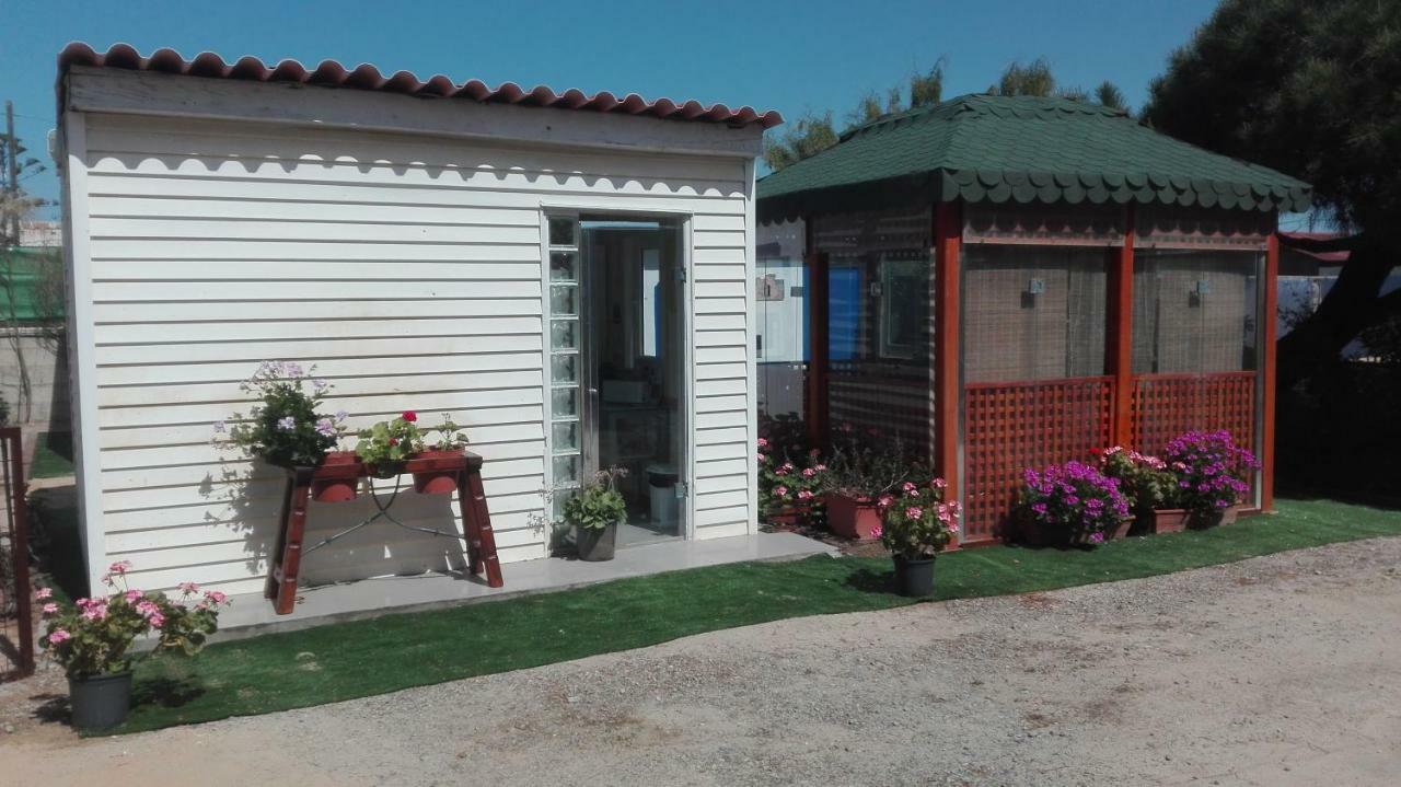 En Finca Las Dunas Dos Chalets Con Jacuzzis En Primera Linea De Playa , Uno De 4 Dormitorios Y Otro De 2 Dormitorios, Llama Al Seiscientos Veintisiete Cuatrocientos Diecisiete Trescientos Noventa Y Ocho 로타 외부 사진